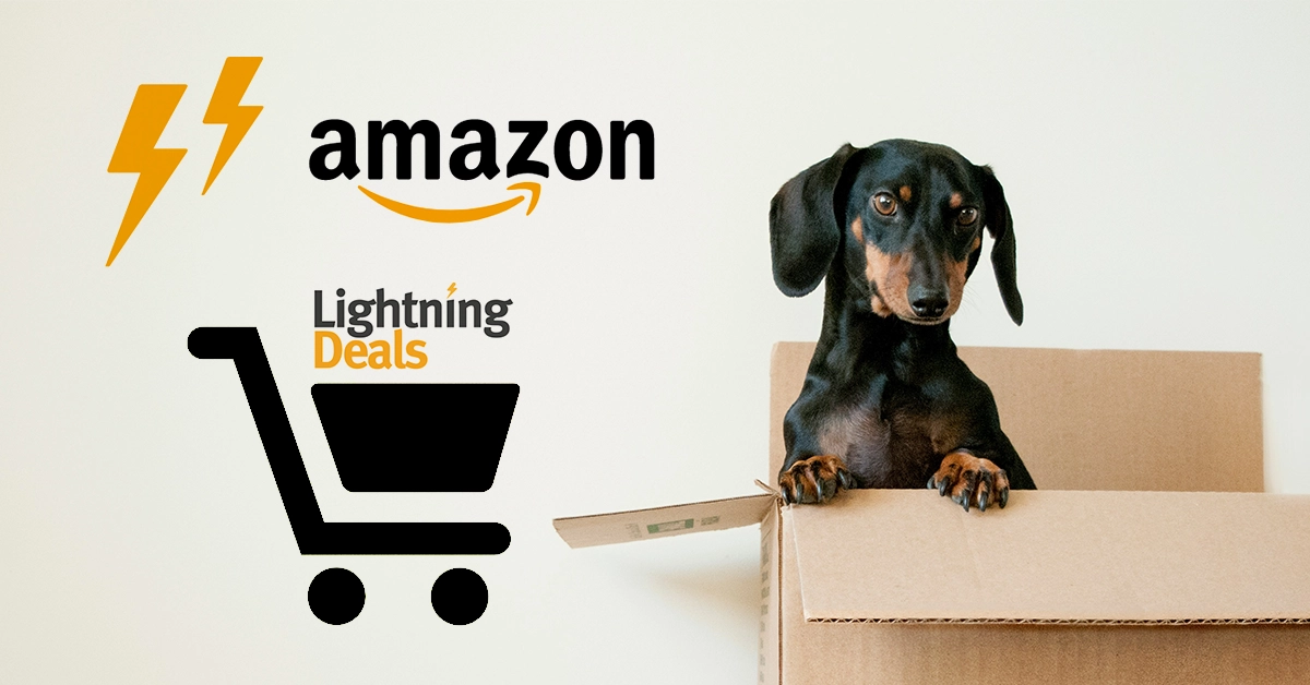 Dachshund sitting in a cardboard box alongside Amazon's logo and Lightning Deals graphic, representing fast and exciting holiday shopping opportunities on Amazon.